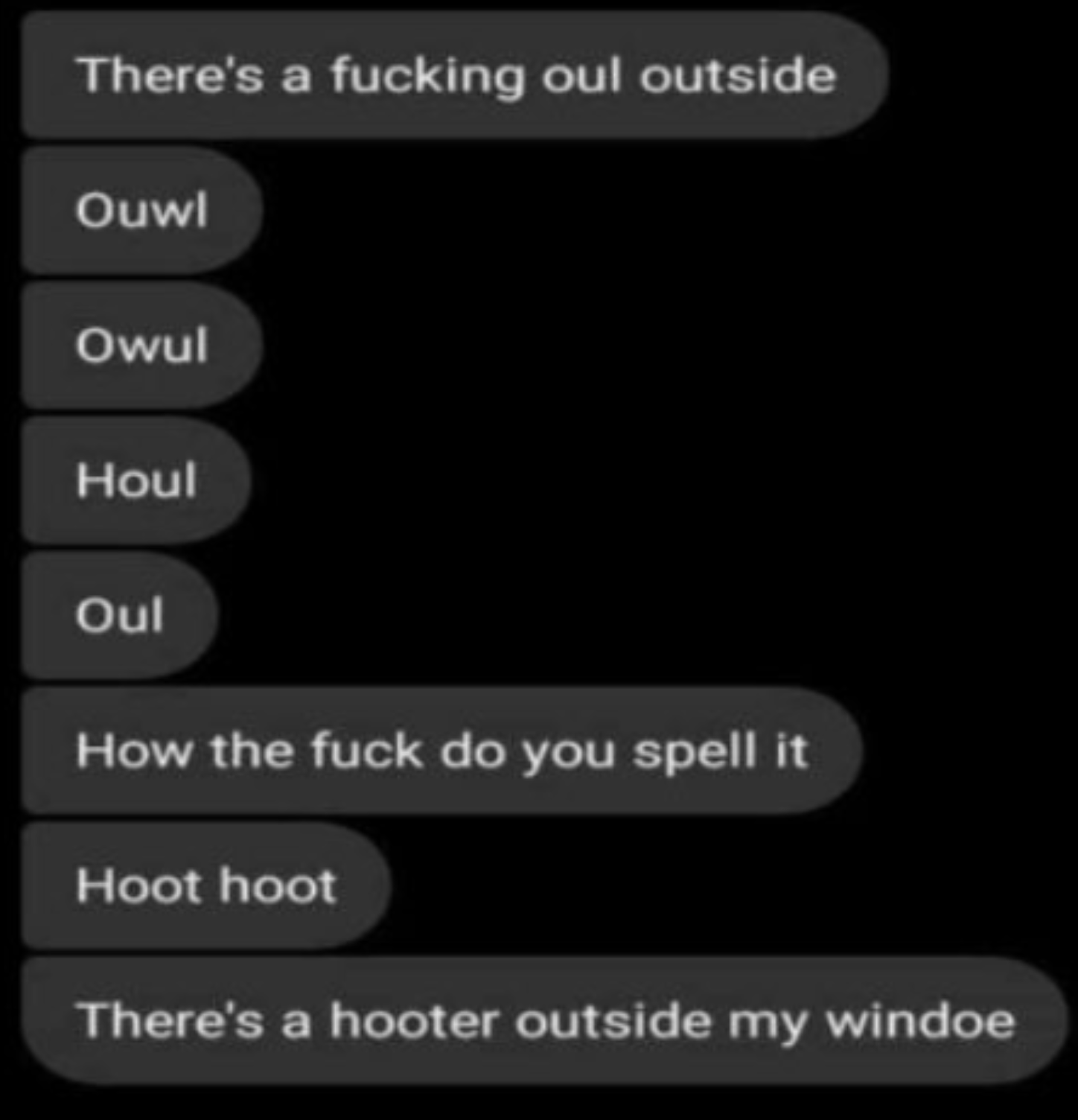 9GAG - There's a fucking oul outside Ouwl Owul Houl Oul How the fuck do you spell it Hoot hoot There's a hooter outside my windoe